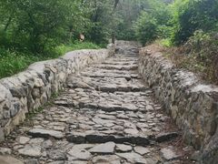 -阳台山自然风景区