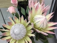 -Butchart布查德鲜花(花艺设计中心)