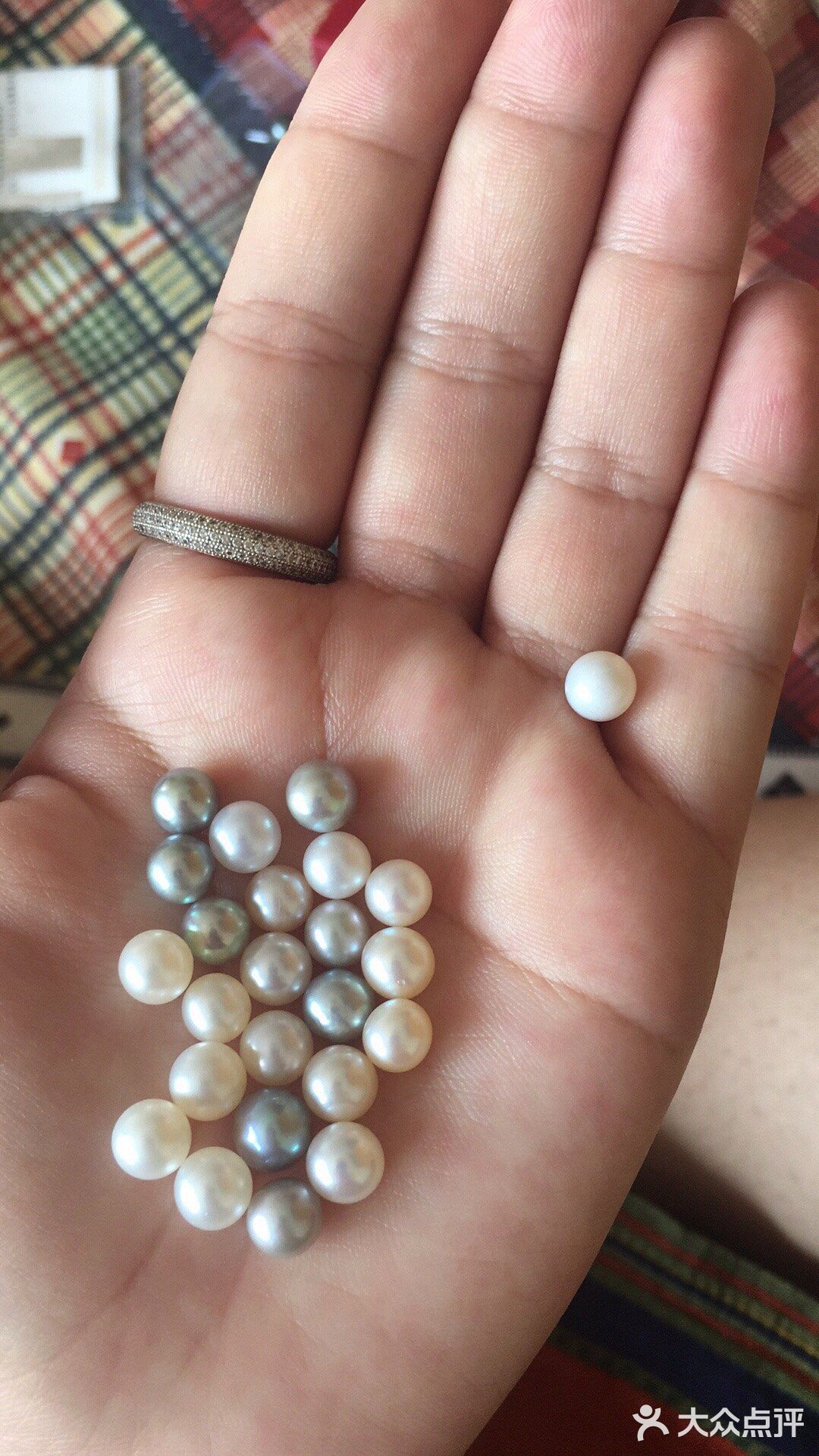 珍珠开蚌— 去年有一段时间时间，疯狂迷恋开蚌取珍珠