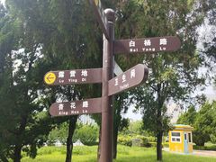 -富斯特索道