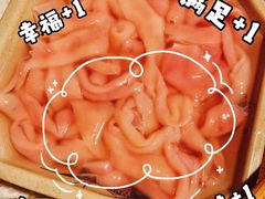 鹅肠-九尺赵老四鲜鹅肠火锅