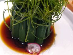 -蒙料·手把肉(望京店)