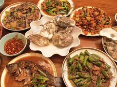 -爱的果实月嫂育婴师(世纪东方店)