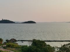 -上海市保健医疗中心