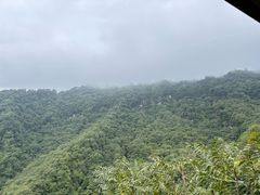 -青城山