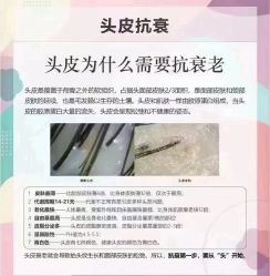 点击看大图 -张昊造型