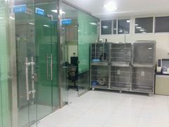 -天使宠物医院·犬猫分诊(彩虹店)