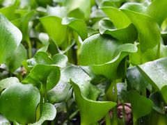 -白鹭湾湿地公园