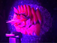 -INLOVE KTV(印象汇店)