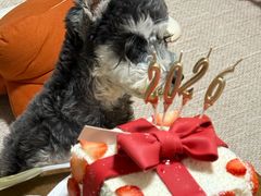 -WenTinG文汀·半糖蛋糕(合生汇店)