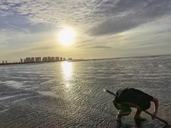 -红树林天天赶海