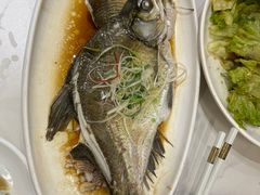 -刘胖子家常菜·蹄花焖藕(中南店)