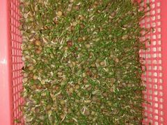 -莫比餐厅(五道口店)