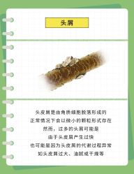 -Bollins波林丝•专研护发中心