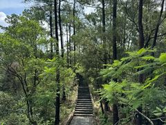 -田心森林公园