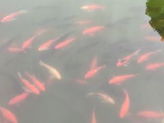 -宁波市保国寺古建筑博物馆