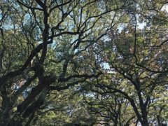 -普陀山风景名胜区-法雨禅寺