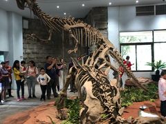 -自贡恐龙博物馆