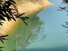 -广州市流溪河国家森林公园