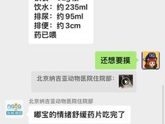 -纳吉亚猫专科动物诊疗中心(蒋宅口分院)