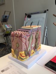 -松和日式美容整骨