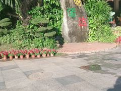-呀诺达热带雨林