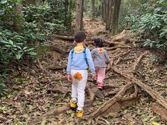 -火炉山森林公园