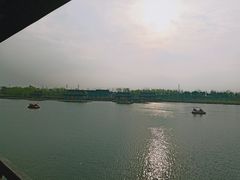 -杭州湾海上花田景区