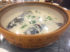 -北大荒淡水鱼馆(秀水广场店)