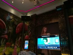 -宝岛甲壳虫KTV(蓝天路店)