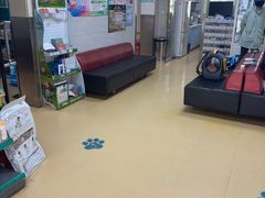 -瑞派天宁宠物医院·猫科·异宠中心