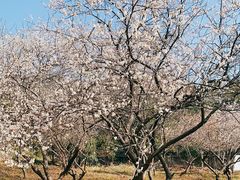 -黄龙带水库