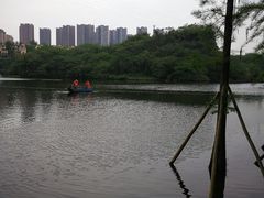 -重庆彩云湖湿地公园