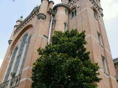 -上海佘山国家森林公园西佘山园