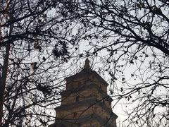 -西安电影制片厂