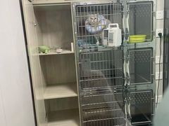 -半岛宠物医院24小时(科华中路店)