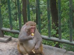 -黔灵山公园-南门售票处