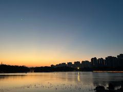 -南翔镇银翔湖公园