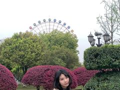 -成都南湖公园