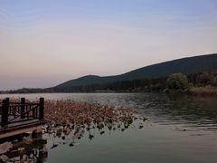 -云龙湖旅游景区