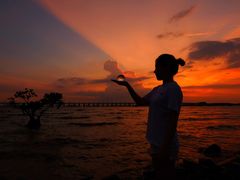 -宝安西湾红树林湿地公园