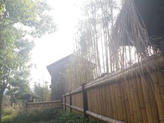 -石塘人家
