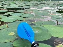-WhaleSports户外水上运动俱乐部(朝阳公园店)