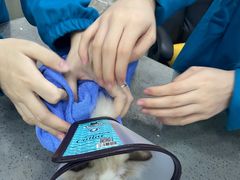 -安安宠物医院(情缘分院)