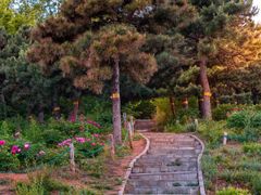 -北京西山国家森林公园