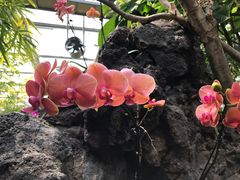 -南通洲际绿博园