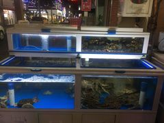 -真情鲍鱼海鲜汤