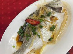 -蛇口康乐快餐鱼仔档(翠苑小区店)