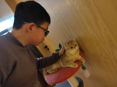 -猫腻·猫咖·撸猫馆(星光大道店)