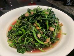 清炒苋菜-湖锦酒楼·32年地道湖北菜(光谷店)